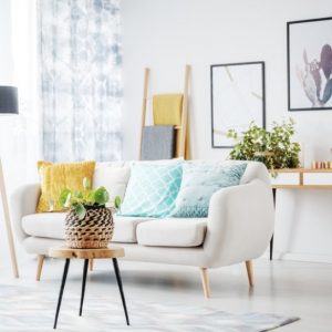 OOrganizers Virginia Beach OOrganizers Virginia Beach