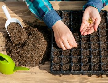 Bring Organization and Productivity to your Garden